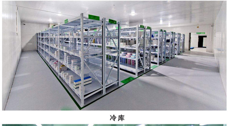 不銹鋼手動托盤搬運車2