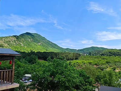 新牛頓叉車(chē)團(tuán)建